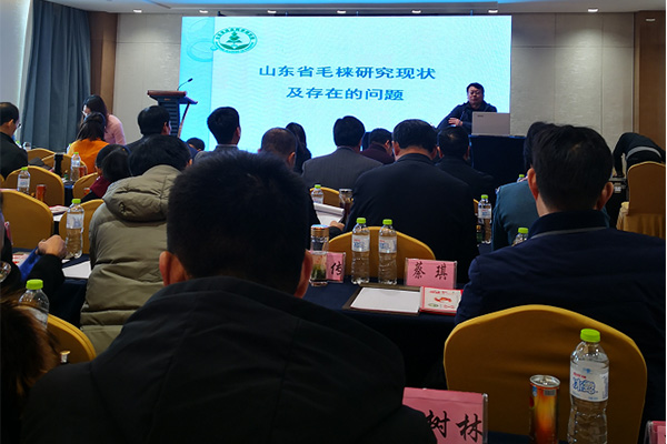 毛梾产业国家创新联盟成立大会 暨第一届理事会在泰安隆重召开