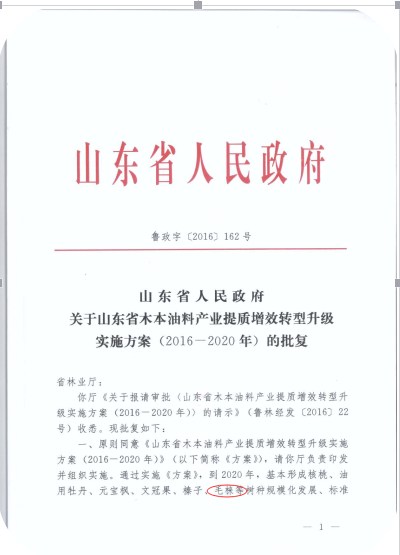 山东省木本油料产业提质增效转型升级实施方案（2016—2020）的批复
