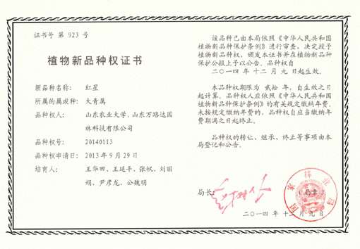 我公司成功申报海州常山“绢绒”“红星”新品种专利