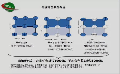 毛棶姐姐做客《12396科技热线》