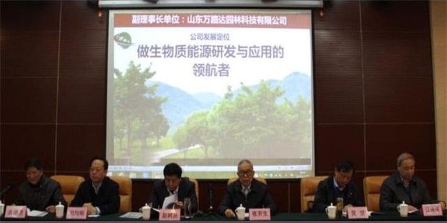 国家能源林大会重要领导讲话
